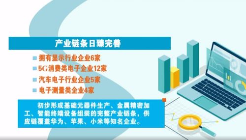 奮進(jìn)在春光里 電子信息產(chǎn)業(yè)滿園春色，賦能向海圖強(qiáng)與信息咨詢服務(wù)共振